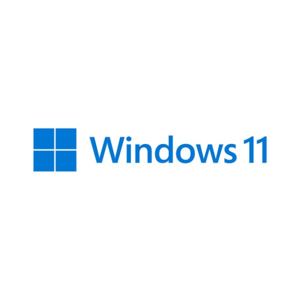 Windows 11 professional türkçe yeni